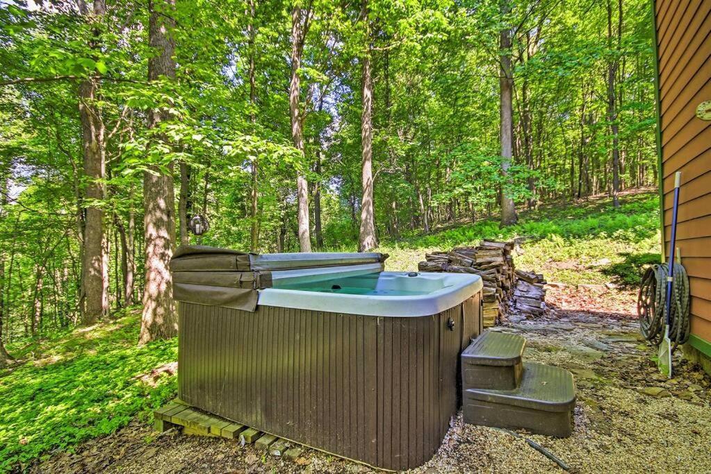 Bear'S Eye View - Mountain Retreat W/ Hot Tub! Vila Acme Exterior foto